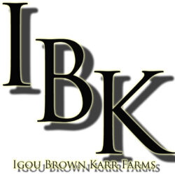 IBK Logo